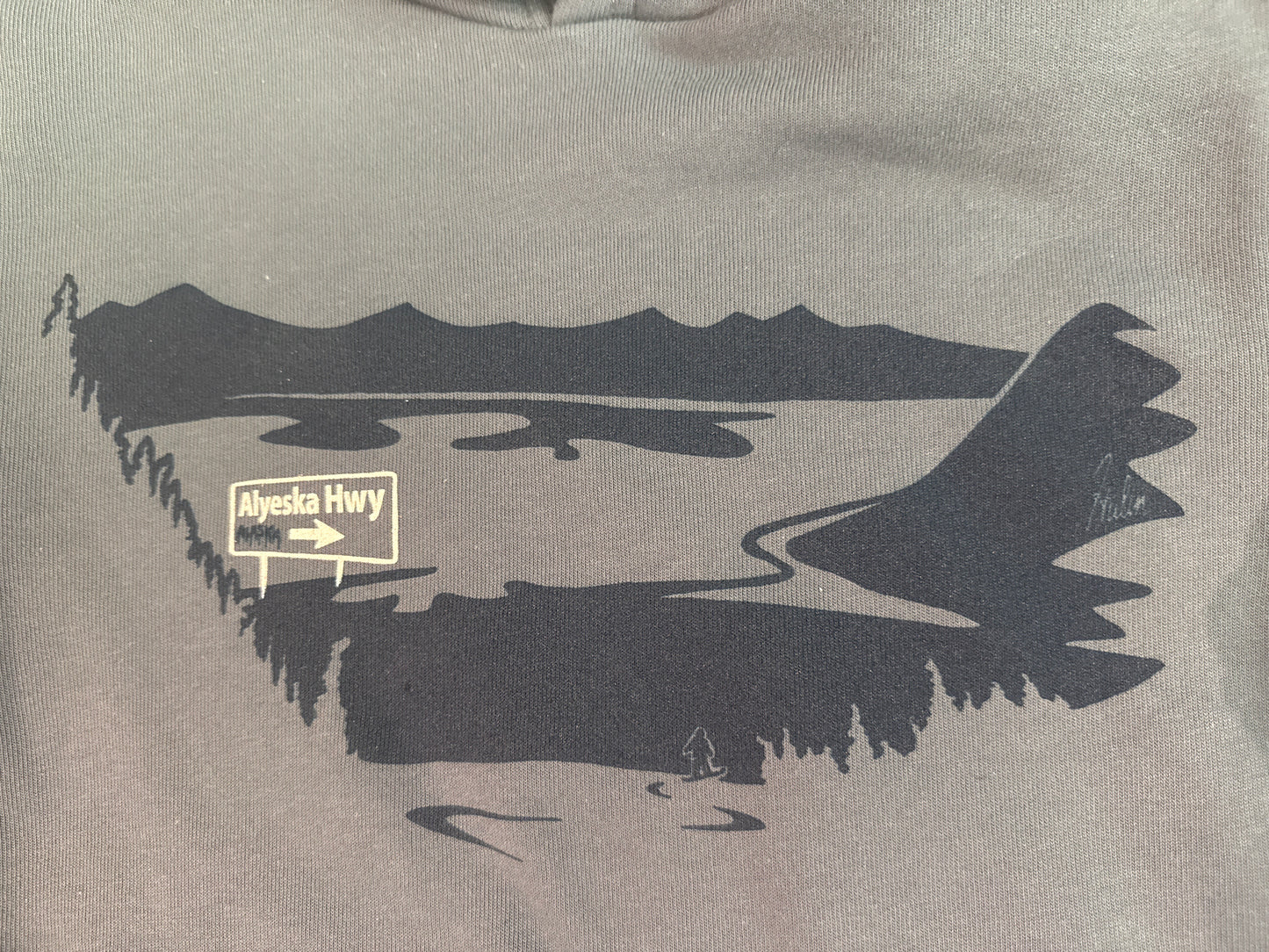 Aly View (winter dusk) hoodie