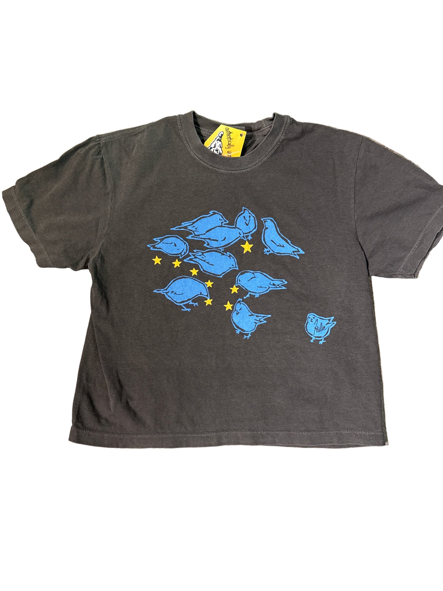Birdies feeding on stars women’s crop tee