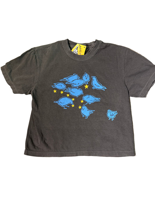 Birdies feeding on stars women’s crop tee